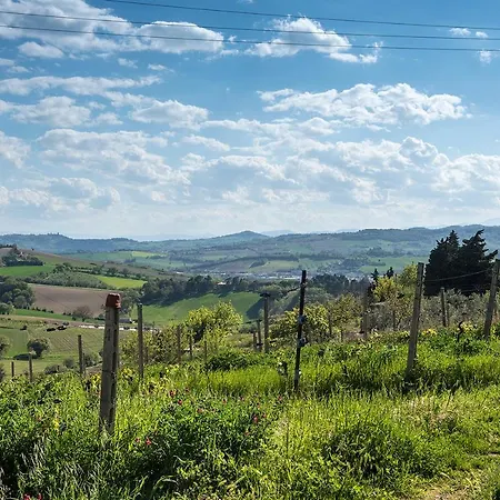A11 - Varano, Delizioso Trilocale Con Giardino