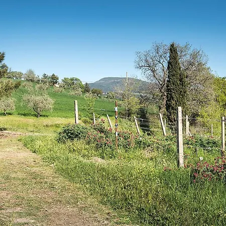 A11 - Varano, Delizioso Trilocale Con Giardino Appartement Ancône