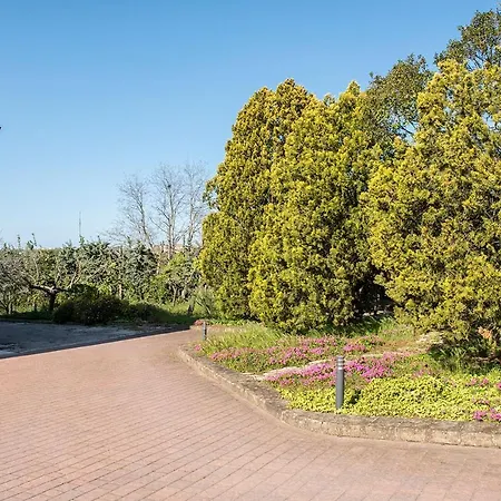 A11 - Varano, Delizioso Trilocale Con Giardino