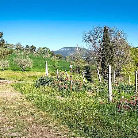 A11 - Varano, Delizioso Trilocale Con Giardino Apartamento
