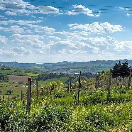 A11 - Varano, Delizioso Trilocale Con Giardino Apartamento Ancona